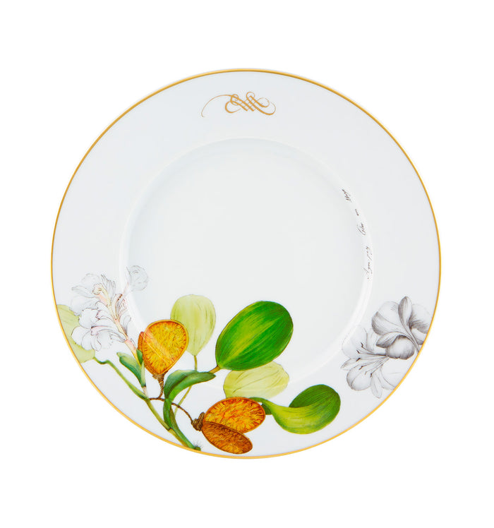Vista Alegre - Amazónia Dinner Plate