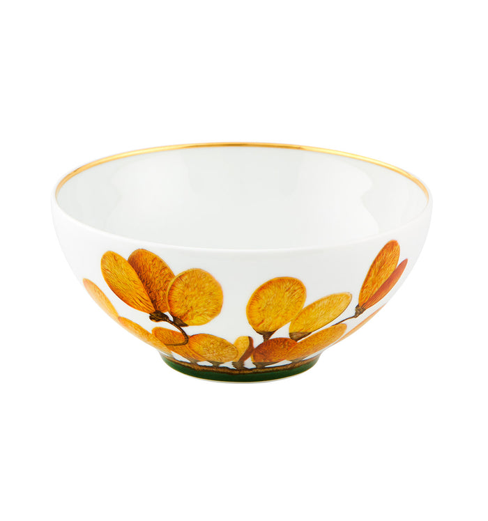 Vista Alegre - Amazónia Cereal Bowl