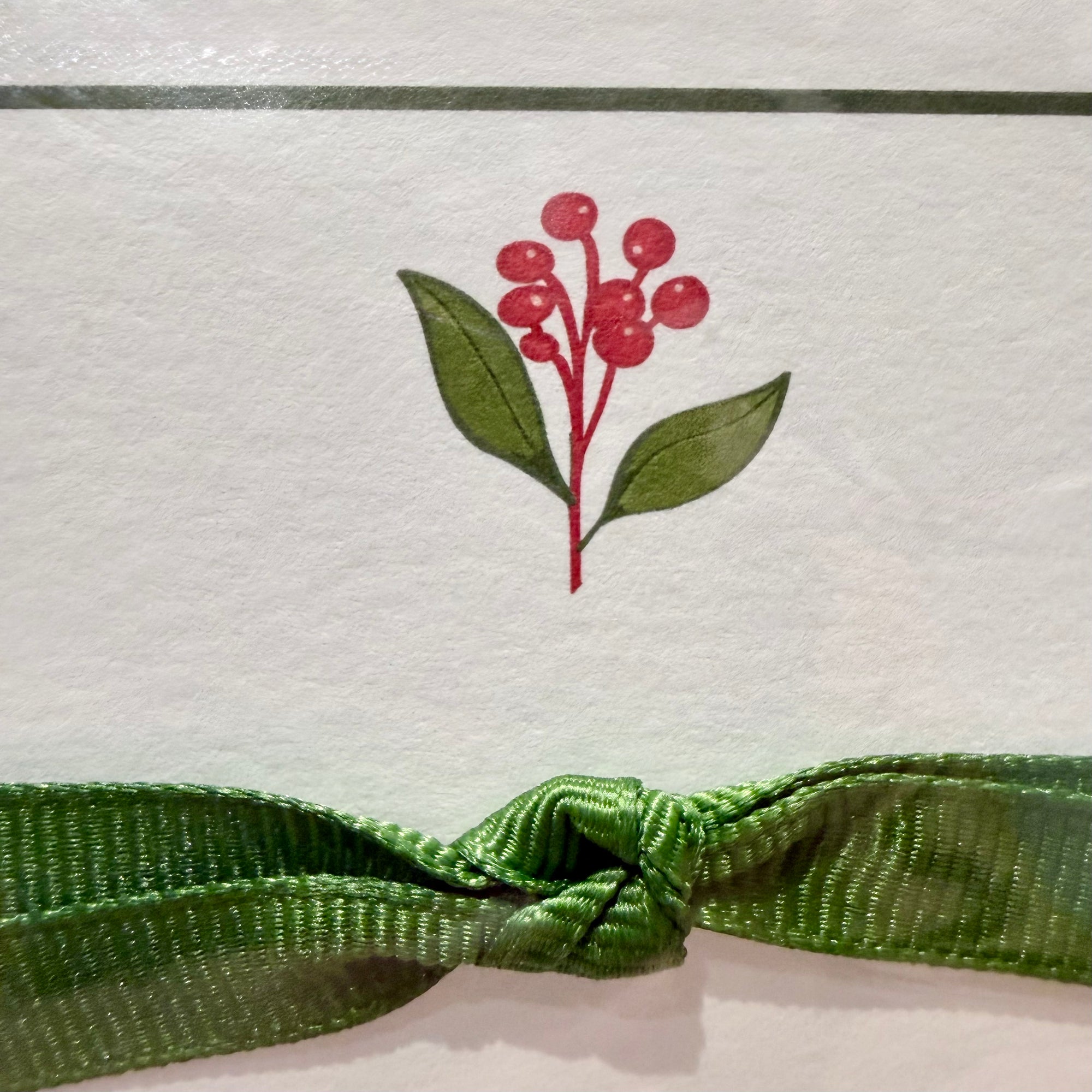 Stationery Set Winterberry (10 notes+env)