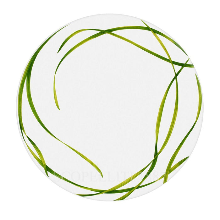 Dinner Plate "Life in Green" Set/4