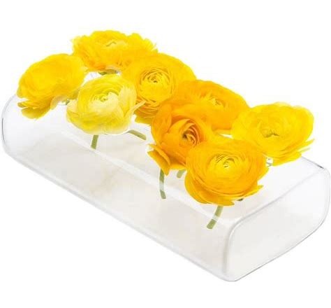 Chive - Hudson 8 Hole Rectangular Glass Vase